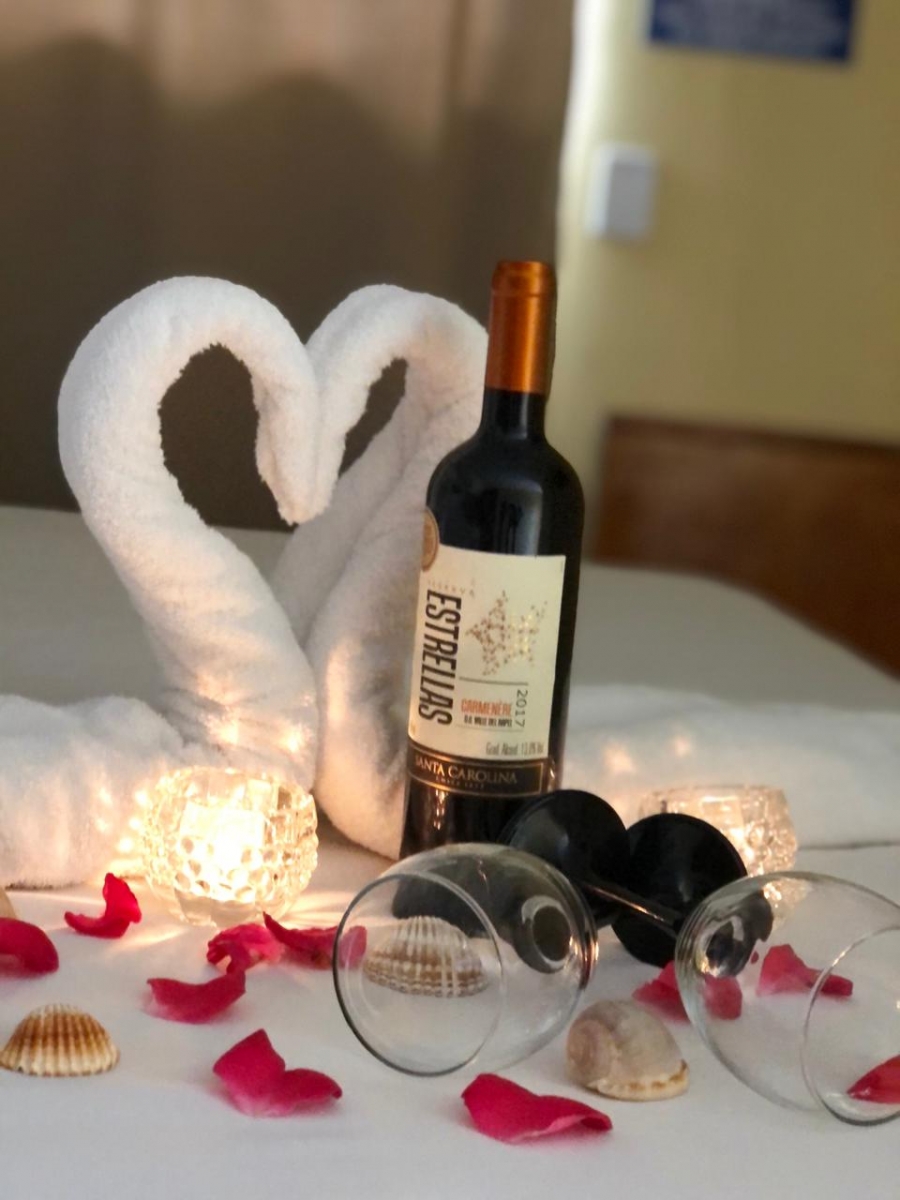 Vinho Tinto Chileno 🍷 - Galeria