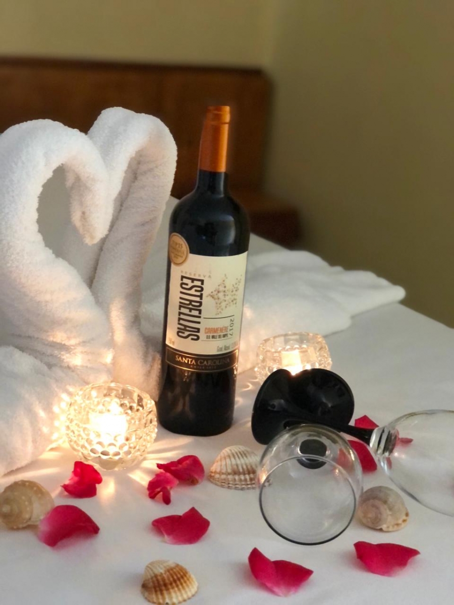 Vinho Tinto Chileno 🍷 - Galeria